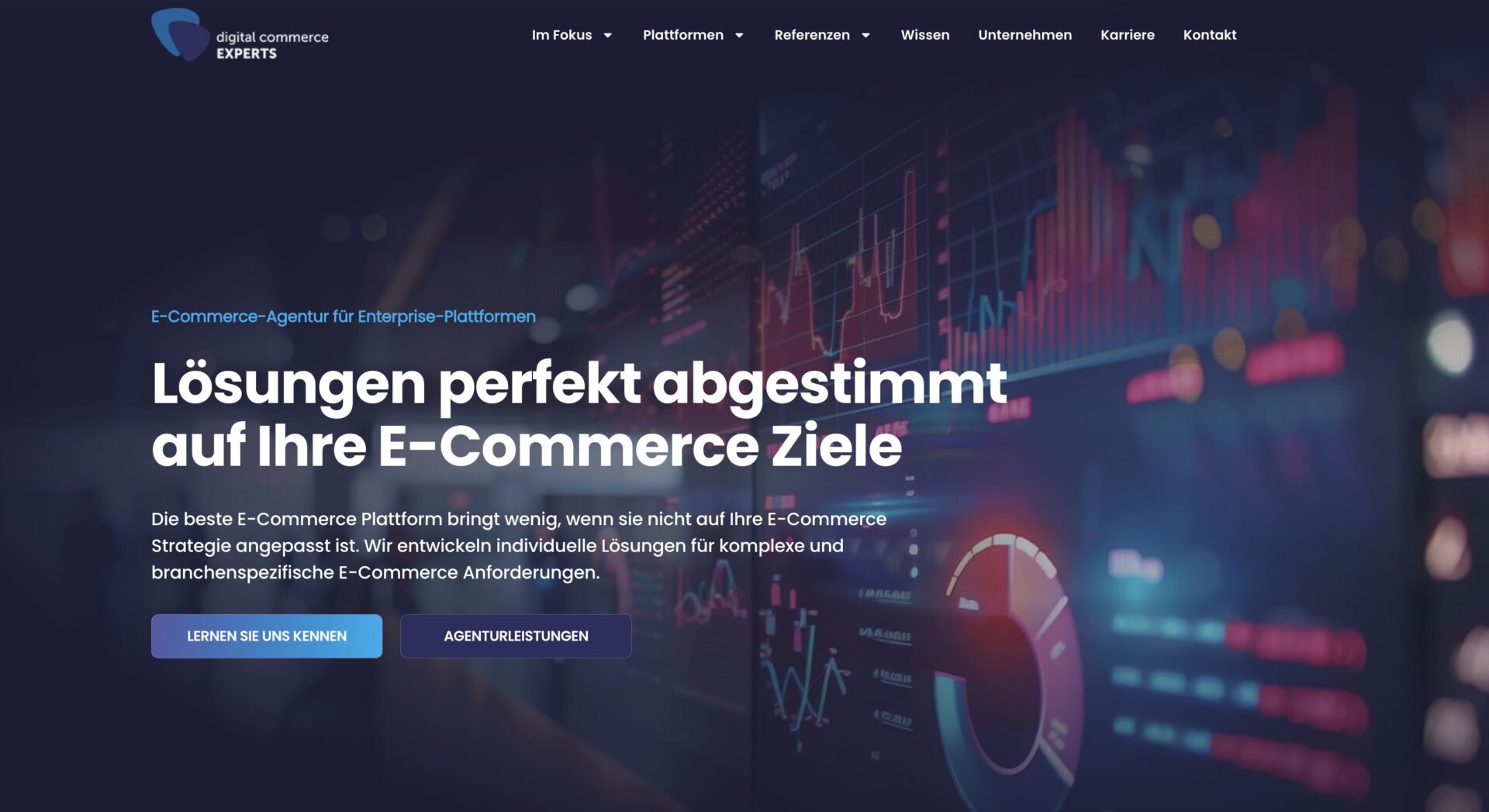 Hero-Bereich der neuen Startseite von Digital Commerce Experts nach dem Website-Relaunch mit Fokus auf Enterprise E-Commerce und strategischer Kundenansprache.
